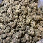 g13